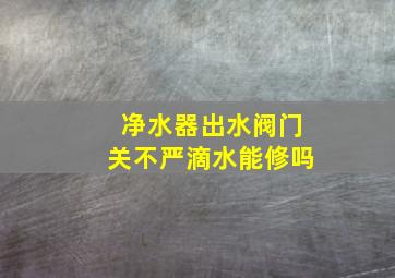 净水器出水阀门关不严滴水能修吗