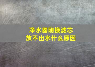 净水器刚换滤芯放不出水什么原因