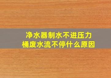 净水器制水不进压力桶废水流不停什么原因