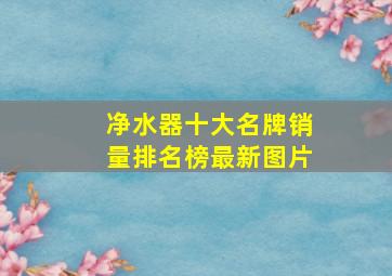 净水器十大名牌销量排名榜最新图片