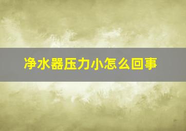 净水器压力小怎么回事