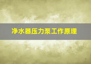 净水器压力泵工作原理