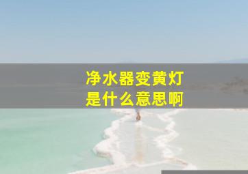 净水器变黄灯是什么意思啊