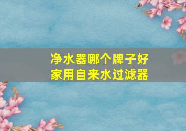 净水器哪个牌子好家用自来水过滤器