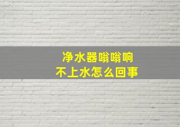 净水器嗡嗡响不上水怎么回事