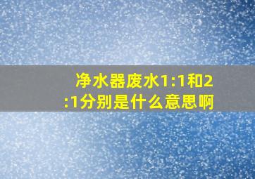 净水器废水1:1和2:1分别是什么意思啊