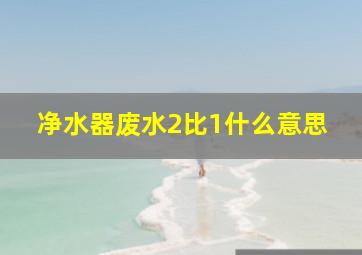 净水器废水2比1什么意思