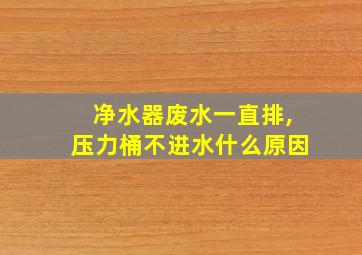 净水器废水一直排,压力桶不进水什么原因