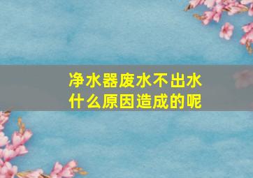 净水器废水不出水什么原因造成的呢