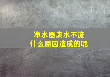 净水器废水不流什么原因造成的呢