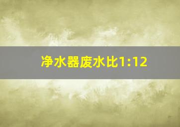 净水器废水比1:12