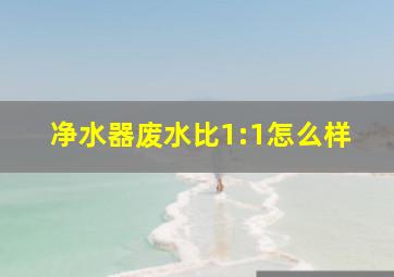 净水器废水比1:1怎么样