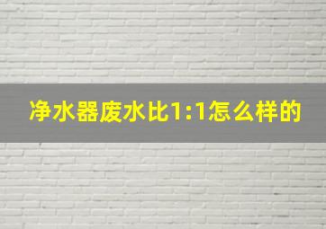 净水器废水比1:1怎么样的