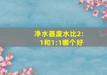 净水器废水比2:1和1:1哪个好