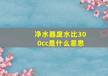 净水器废水比300cc是什么意思