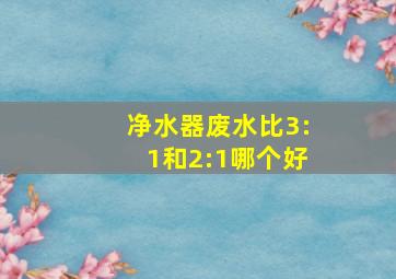 净水器废水比3:1和2:1哪个好