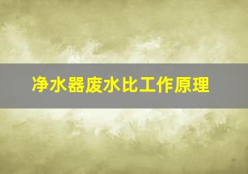 净水器废水比工作原理