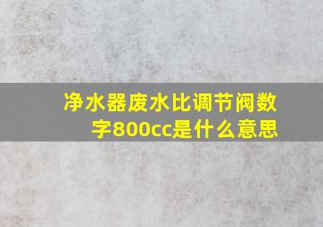 净水器废水比调节阀数字800cc是什么意思