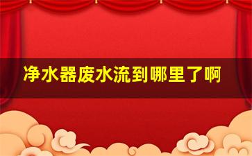 净水器废水流到哪里了啊