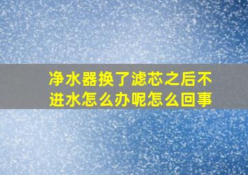 净水器换了滤芯之后不进水怎么办呢怎么回事