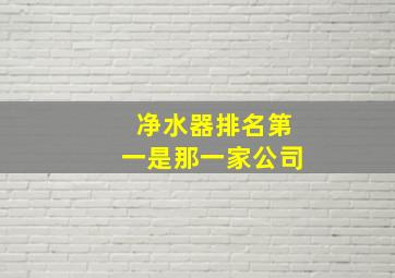 净水器排名第一是那一家公司