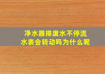 净水器排废水不停流水表会转动吗为什么呢