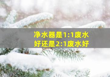 净水器是1:1废水好还是2:1废水好