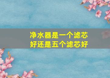 净水器是一个滤芯好还是五个滤芯好