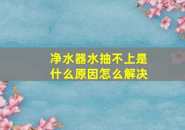 净水器水抽不上是什么原因怎么解决