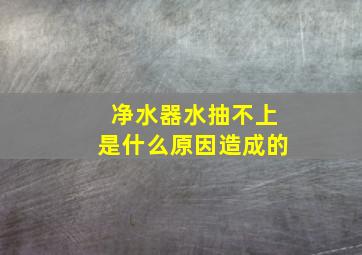 净水器水抽不上是什么原因造成的