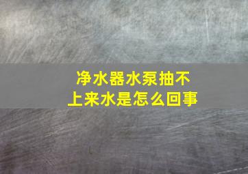 净水器水泵抽不上来水是怎么回事