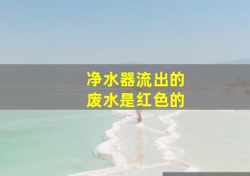 净水器流出的废水是红色的