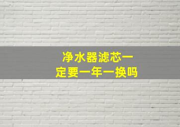 净水器滤芯一定要一年一换吗