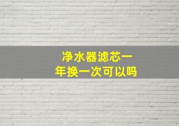 净水器滤芯一年换一次可以吗