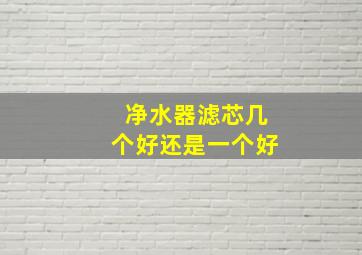 净水器滤芯几个好还是一个好