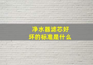 净水器滤芯好坏的标准是什么