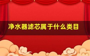 净水器滤芯属于什么类目