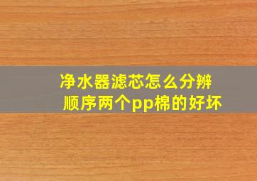 净水器滤芯怎么分辨顺序两个pp棉的好坏