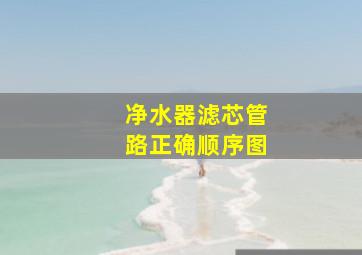 净水器滤芯管路正确顺序图