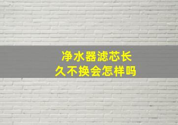 净水器滤芯长久不换会怎样吗