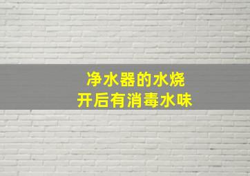 净水器的水烧开后有消毒水味