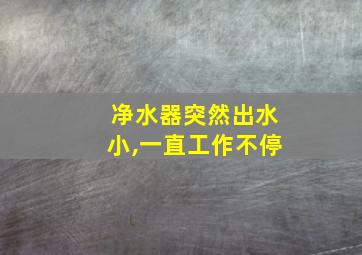 净水器突然出水小,一直工作不停