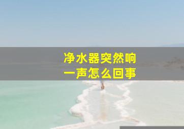 净水器突然响一声怎么回事