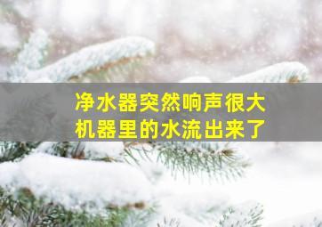 净水器突然响声很大机器里的水流出来了