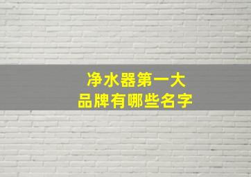 净水器第一大品牌有哪些名字