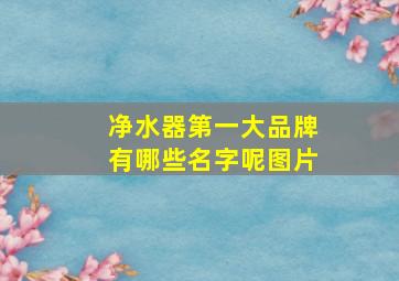 净水器第一大品牌有哪些名字呢图片