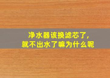 净水器该换滤芯了,就不出水了嘛为什么呢