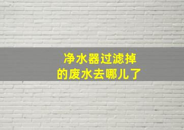 净水器过滤掉的废水去哪儿了