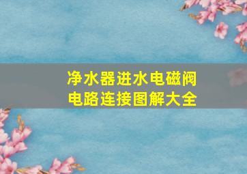 净水器进水电磁阀电路连接图解大全