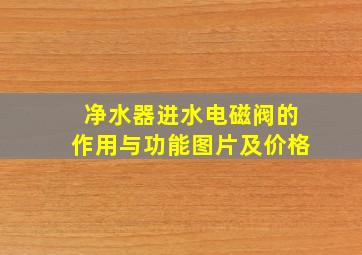 净水器进水电磁阀的作用与功能图片及价格